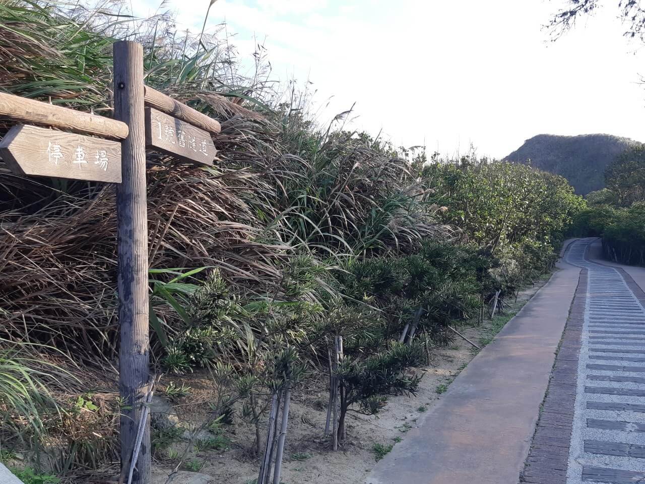 半天寮好望角|苗栗後龍|眺望海灣美景步道串聯周邊 - 第9張圖