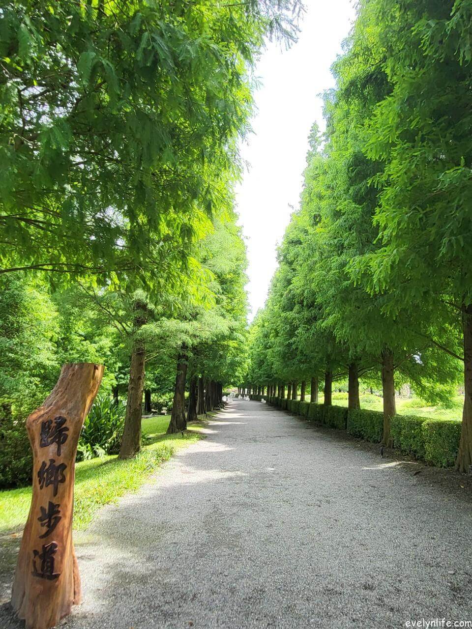 成美文化園|彰化永靖|百年古厝與日式莊園的造景之旅 - 第6張圖