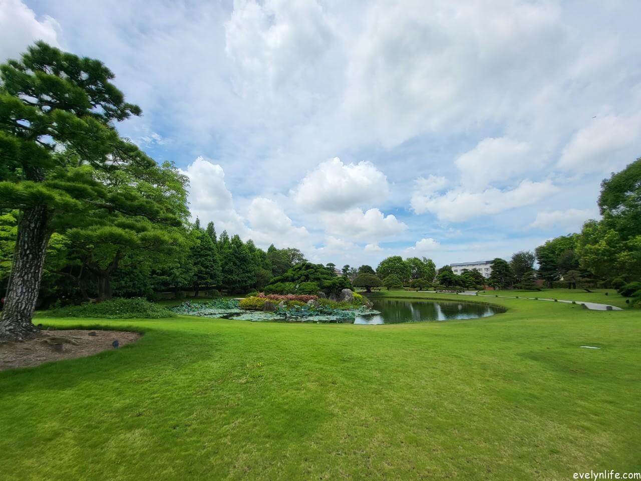 成美文化園|彰化永靖|百年古厝與日式莊園的造景之旅 - 第11張圖