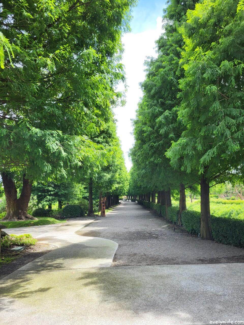 成美文化園|彰化永靖|百年古厝與日式莊園的造景之旅 - 第5張圖