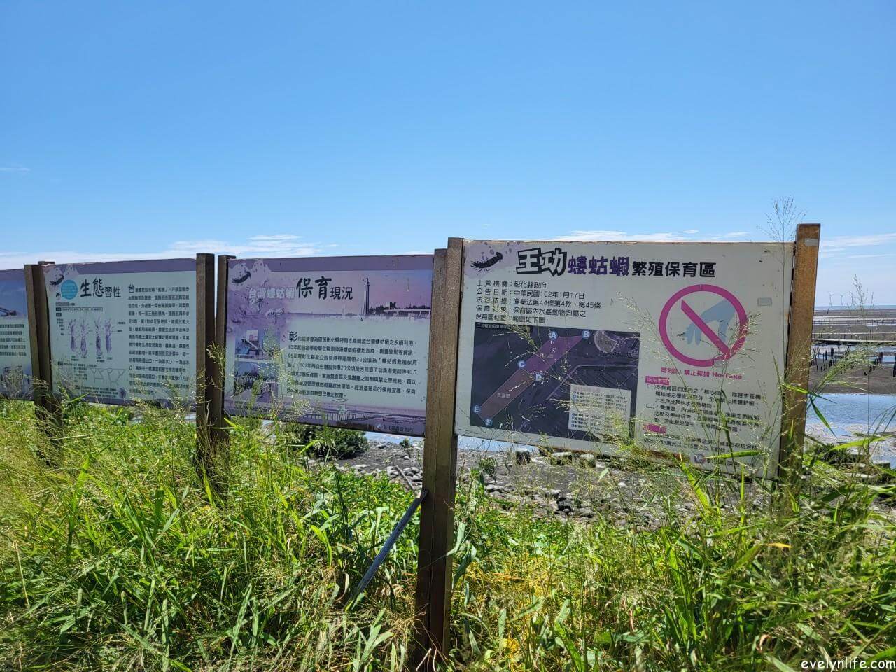 王功漁港|彰化芳苑|來趟芳苑的漁鄉之旅 - 第12張圖