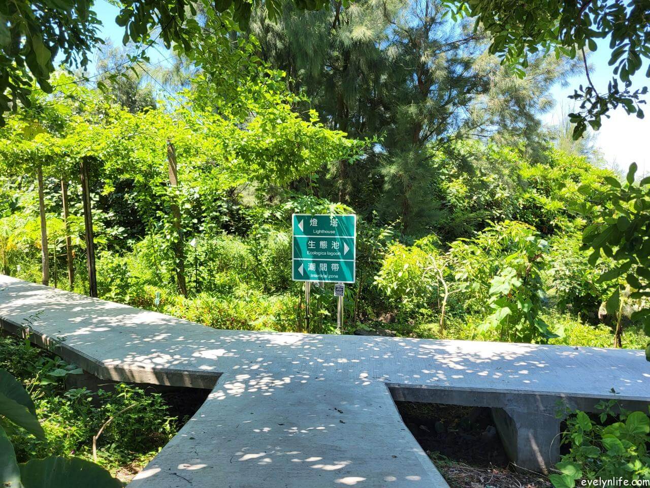 王功漁港|彰化芳苑|來趟芳苑的漁鄉之旅 - 第4張圖