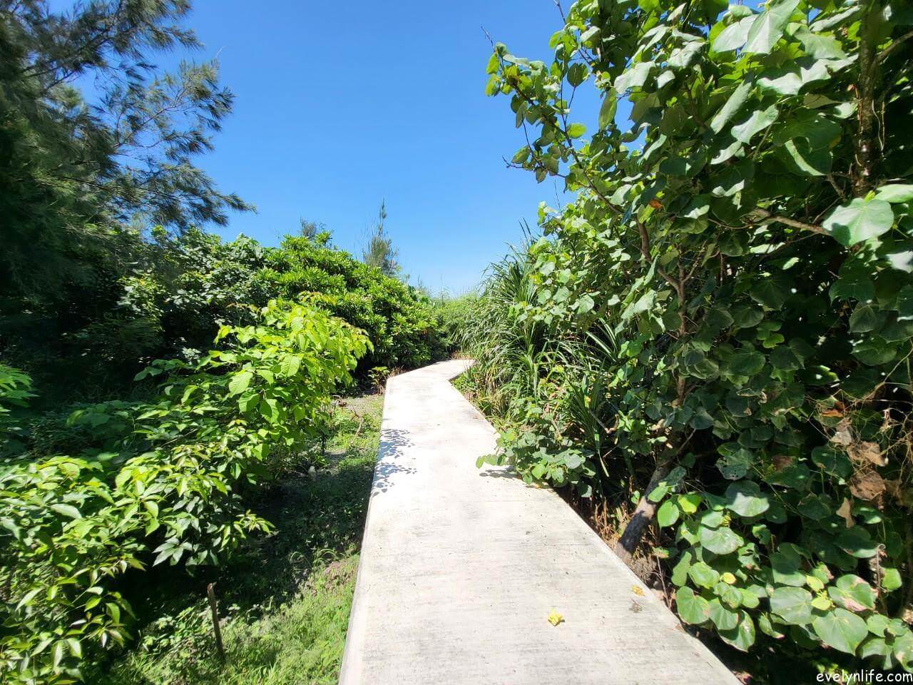 王功漁港|彰化芳苑|來趟芳苑的漁鄉之旅 - 第5張圖
