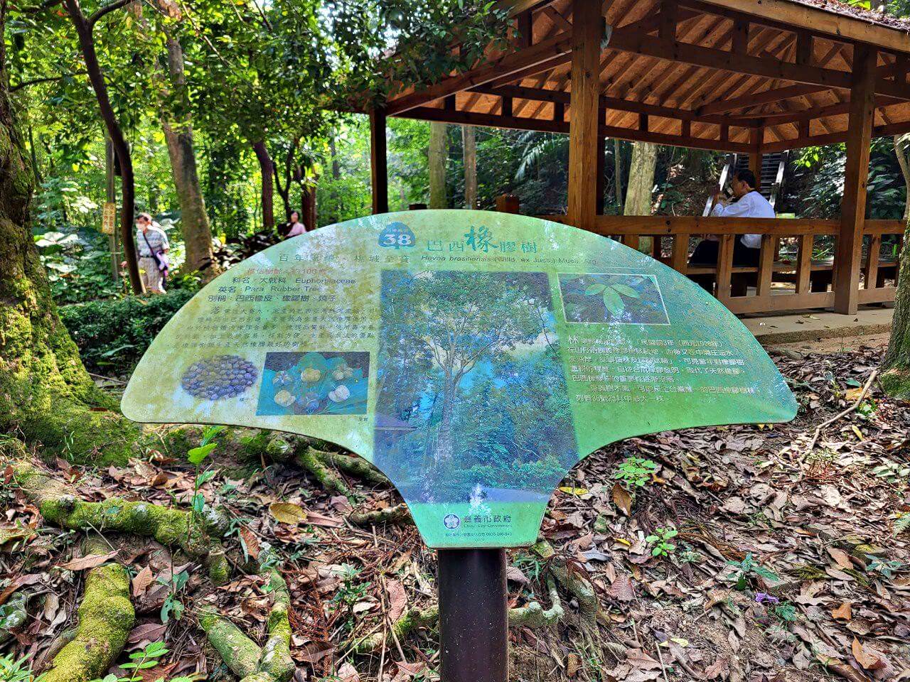 嘉義東區|嘉義公園全介紹|免門票親子遊樂設施.平地森林步道樹木園.KANO園區.昭和十八.射日塔 - 第22張圖