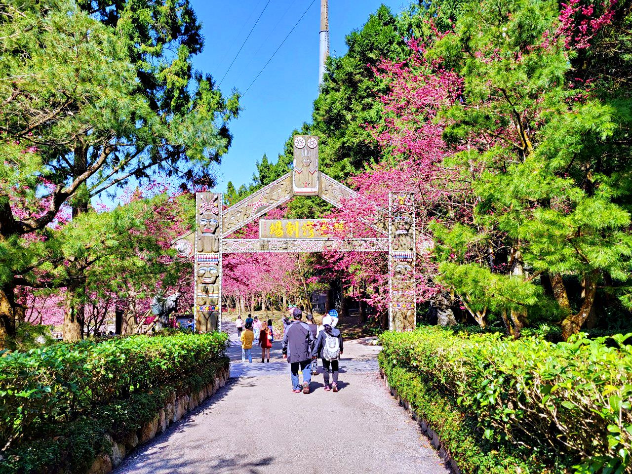 南投魚池|2023年九族文化村櫻花祭|搭纜車鳥瞰園區櫻花.日式浴衣體驗.賞夜櫻火舞秀 - 第58張圖