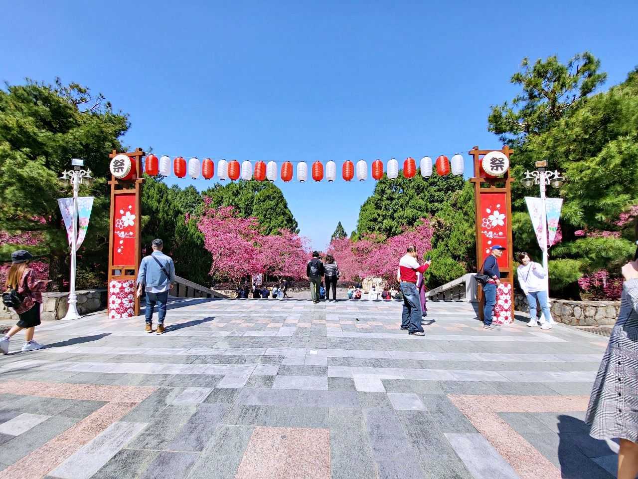 南投魚池|2023年九族文化村櫻花祭|搭纜車鳥瞰園區櫻花.日式浴衣體驗.賞夜櫻火舞秀 - 第15張圖