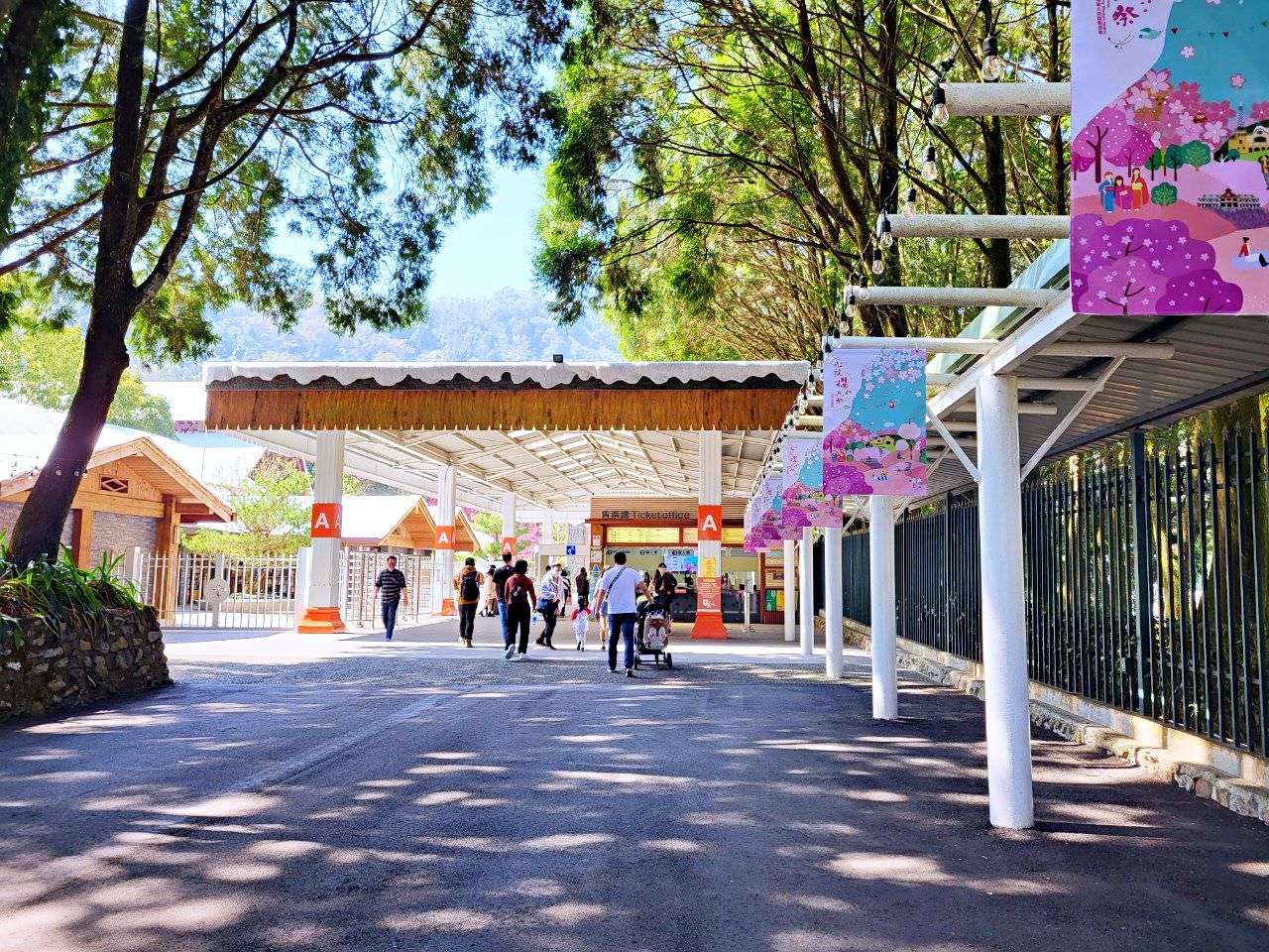 南投魚池|2023年九族文化村櫻花祭|搭纜車鳥瞰園區櫻花.日式浴衣體驗.賞夜櫻火舞秀 - 第2張圖