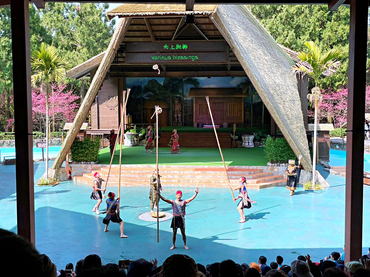 南投魚池|2023年九族文化村櫻花祭|搭纜車鳥瞰園區櫻花.日式浴衣體驗.賞夜櫻火舞秀 - 第62張圖