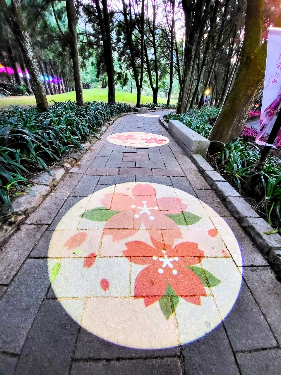 南投魚池|2023年九族文化村櫻花祭|搭纜車鳥瞰園區櫻花.日式浴衣體驗.賞夜櫻火舞秀 - 第40張圖