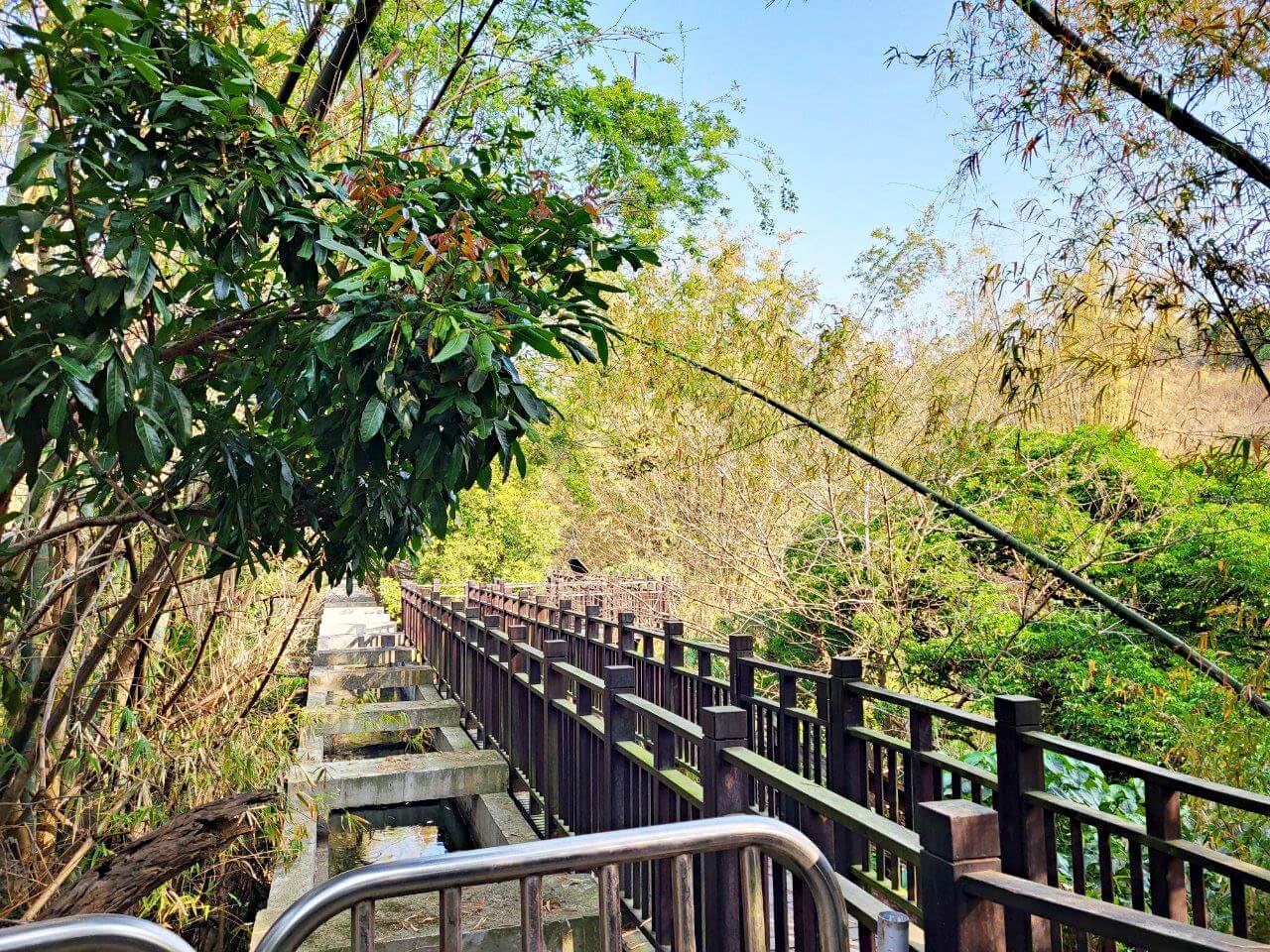台中烏日|知高圳步道&好漢坡雪蓮登山步道|輕鬆平坦好走.好漢坡登高賞美景.學田山三角點 - 第21張圖