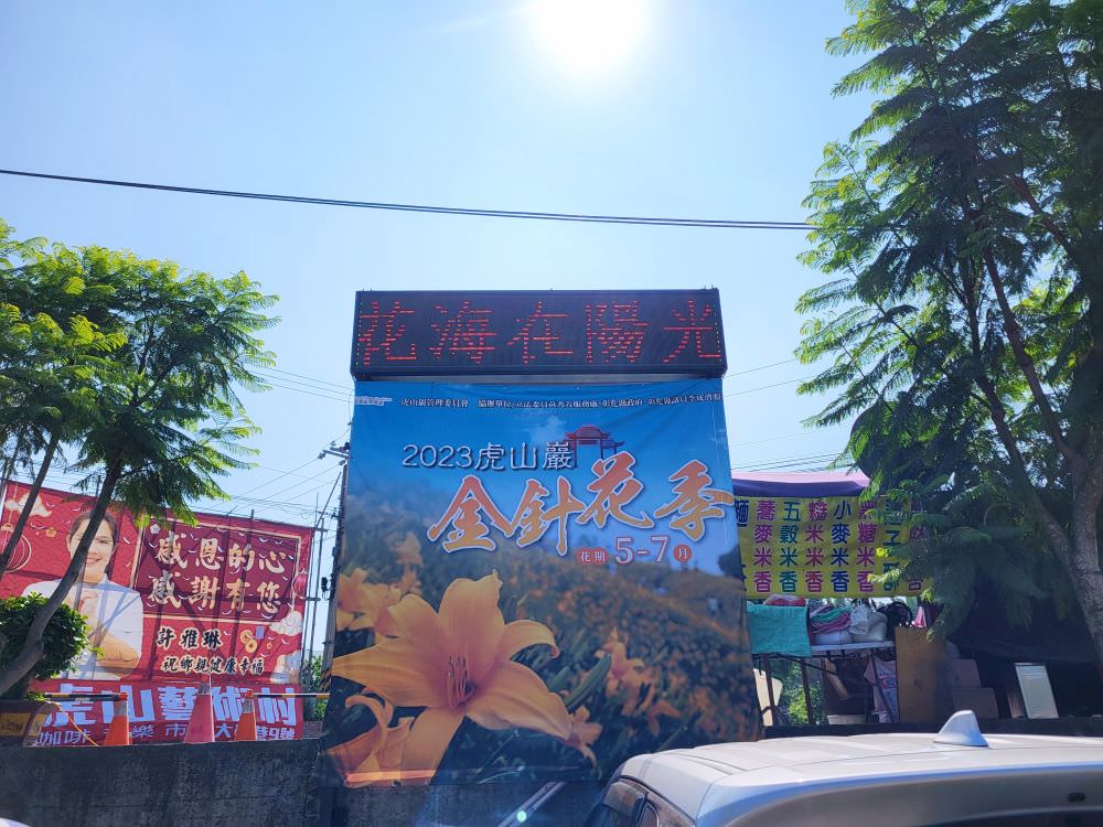 彰化花壇|虎山巖金針花|超美金色花海 ,把握花期周末出遊賞花去.免費賞花景點 - 第1張圖