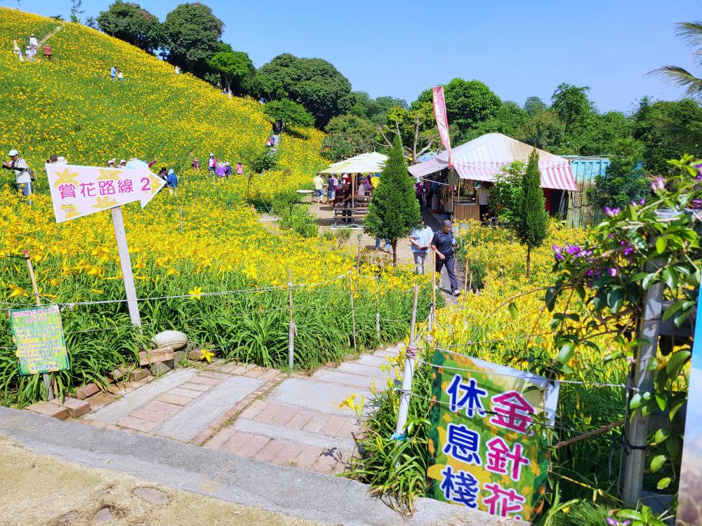 彰化花壇|虎山巖金針花|超美金色花海 ,把握花期周末出遊賞花去.免費賞花景點 - 第15張圖
