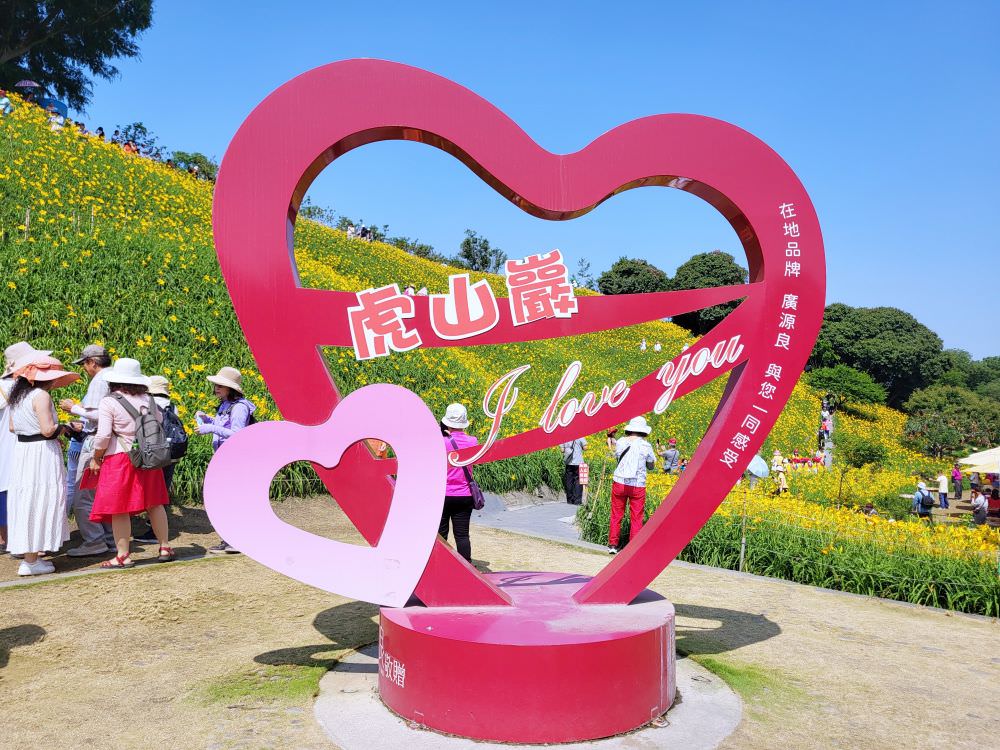 彰化花壇|虎山巖金針花|超美金色花海 ,把握花期周末出遊賞花去.免費賞花景點 - 第2張圖