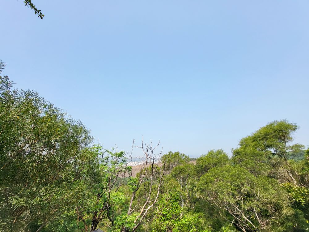 台中大肚|萬里長城登山步道|台中海線之名步道.適合一家大小周末出門運動的好地方 - 第28張圖