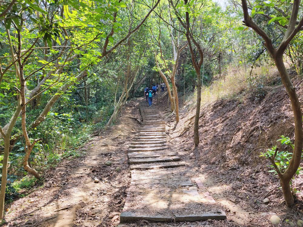 台中大肚|萬里長城登山步道|台中海線之名步道.適合一家大小周末出門運動的好地方 - 第38張圖