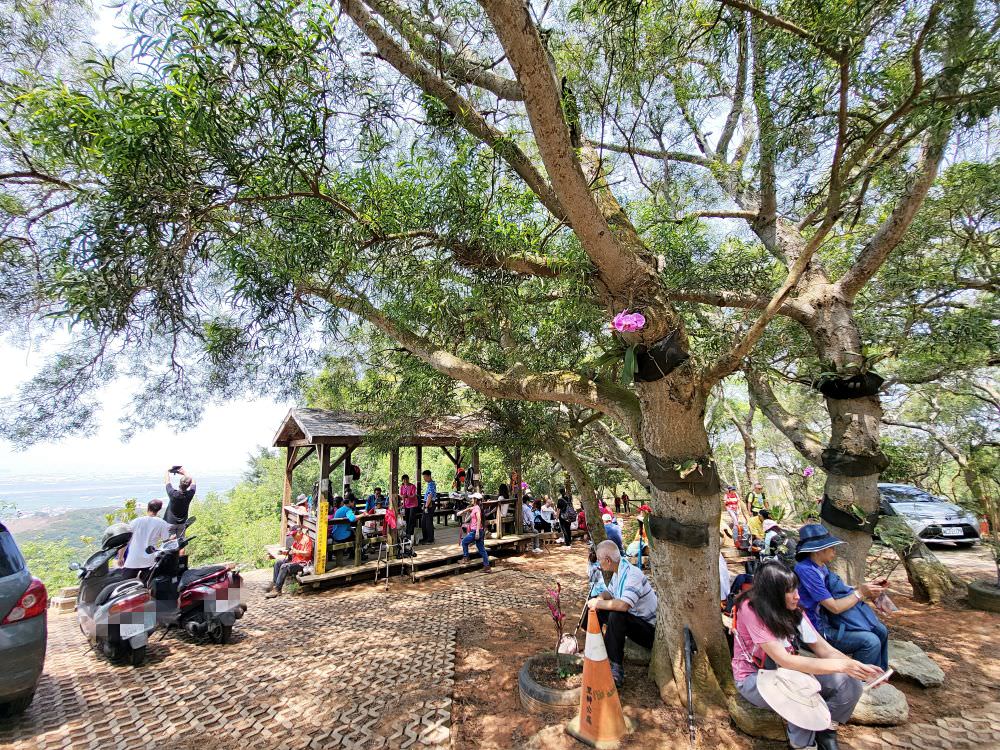 台中大肚|萬里長城登山步道|台中海線之名步道.適合一家大小周末出門運動的好地方 - 第41張圖