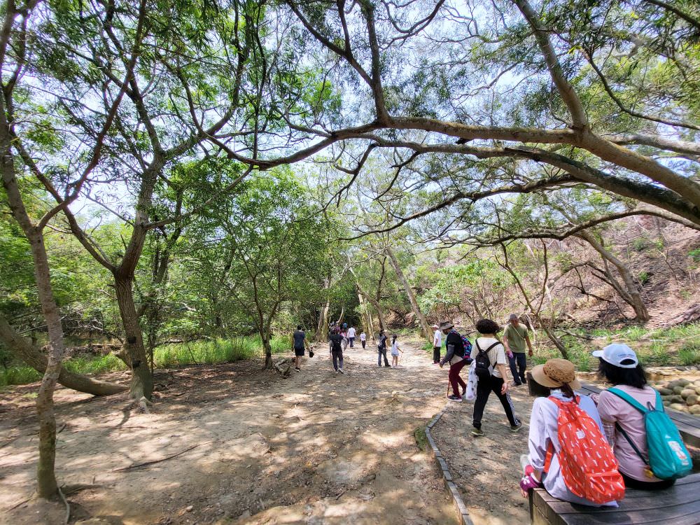 台中大肚|萬里長城登山步道|台中海線之名步道.適合一家大小周末出門運動的好地方 - 第43張圖