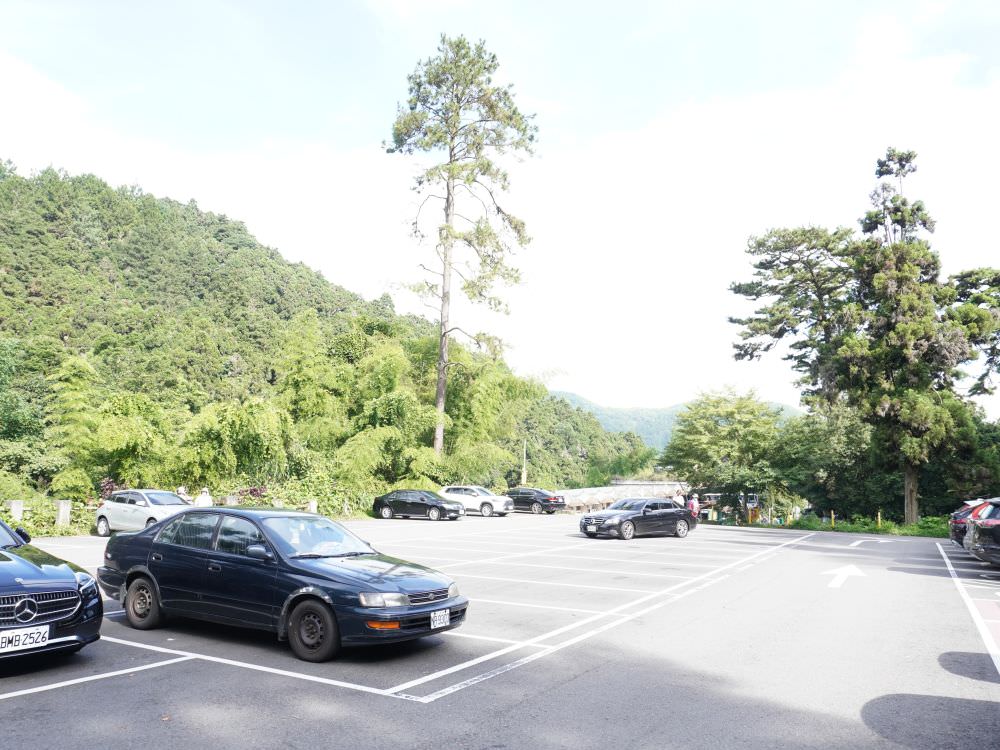 南投鹿谷|溪頭自然教育園區|路線景點資訊.必訪空中走廊及大學池.夏日健行避暑好選擇 20230714DSC00695 01