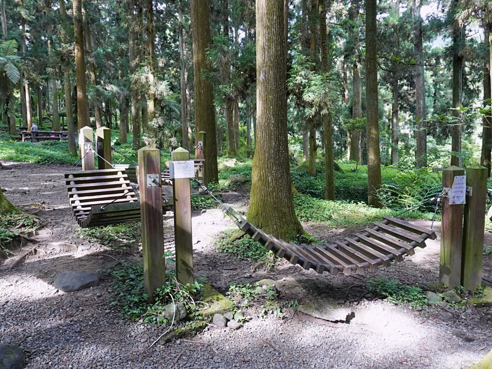 南投鹿谷|溪頭自然教育園區|路線景點資訊.必訪空中走廊及大學池.夏日健行避暑好選擇 - 第6張圖