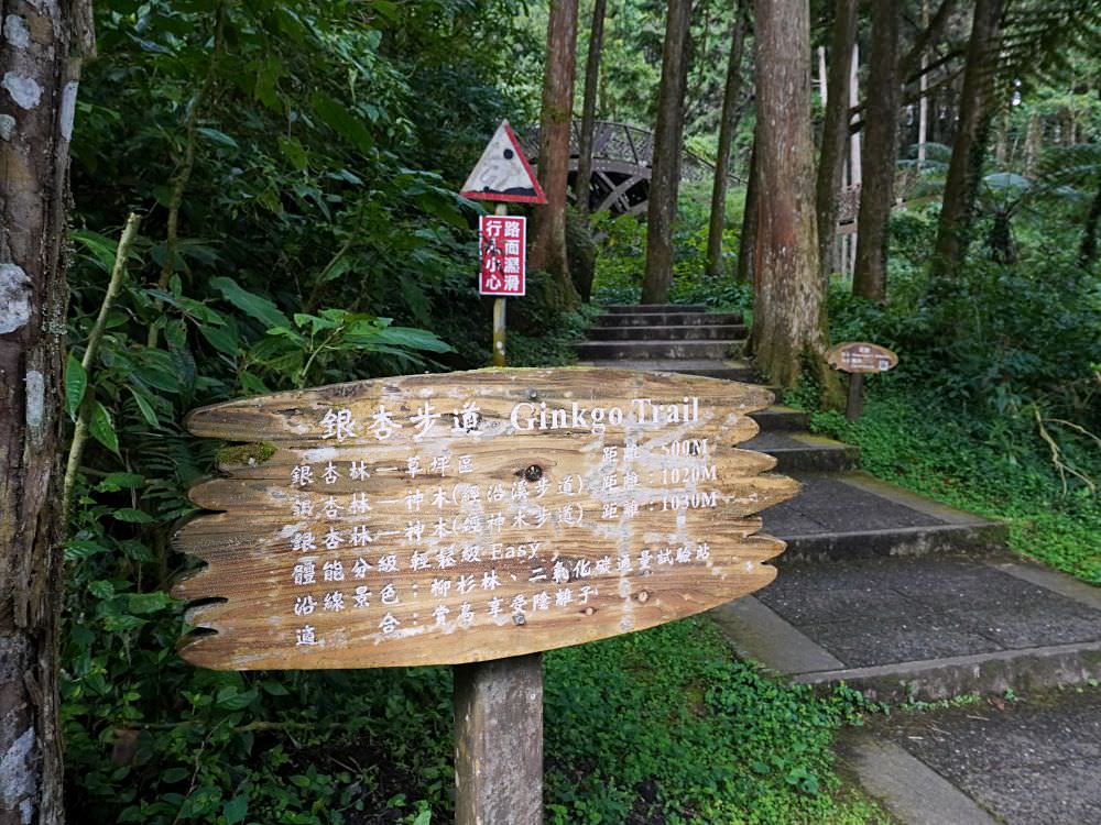 南投鹿谷|溪頭自然教育園區|路線景點資訊.必訪空中走廊及大學池.夏日健行避暑好選擇 - 第9張圖