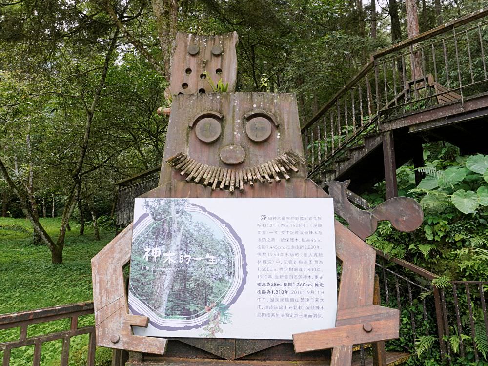 南投鹿谷|溪頭自然教育園區|路線景點資訊.必訪空中走廊及大學池.夏日健行避暑好選擇 - 第18張圖