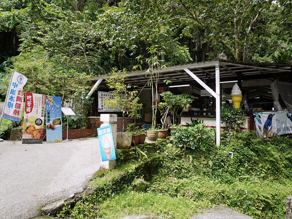 南投鹿谷|溪頭自然教育園區|路線景點資訊.必訪空中走廊及大學池.夏日健行避暑好選擇 - 第25張圖