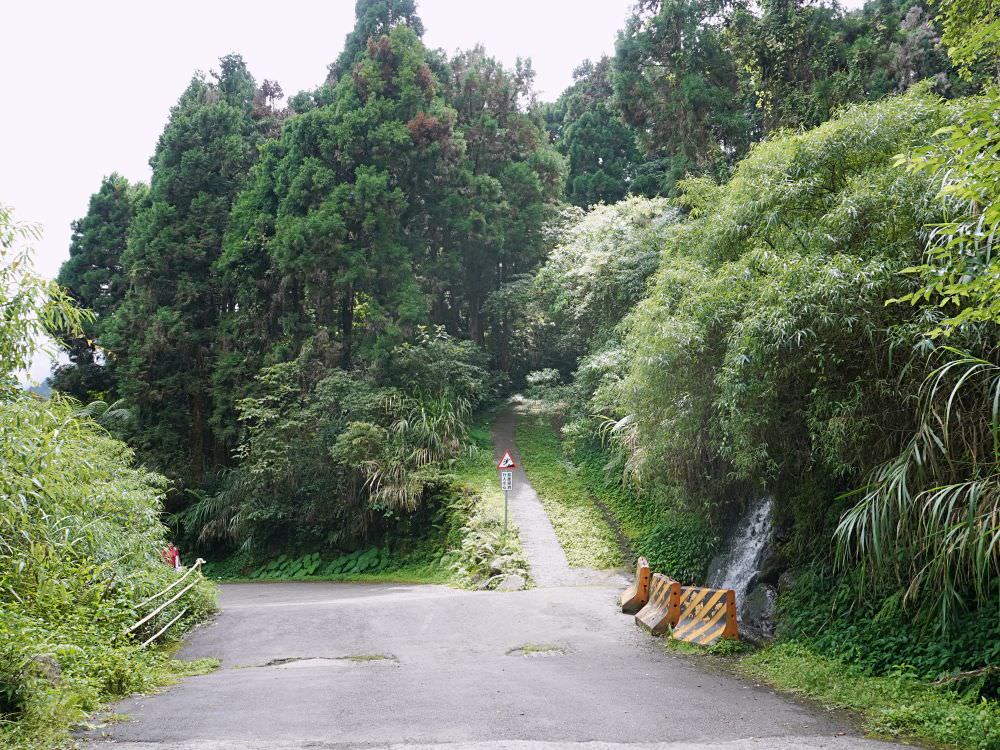 南投鹿谷|溪頭自然教育園區|路線景點資訊.必訪空中走廊及大學池.夏日健行避暑好選擇 - 第28張圖