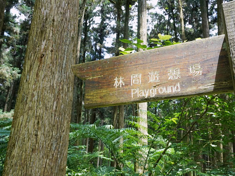 南投鹿谷|溪頭自然教育園區|路線景點資訊.必訪空中走廊及大學池.夏日健行避暑好選擇 - 第35張圖