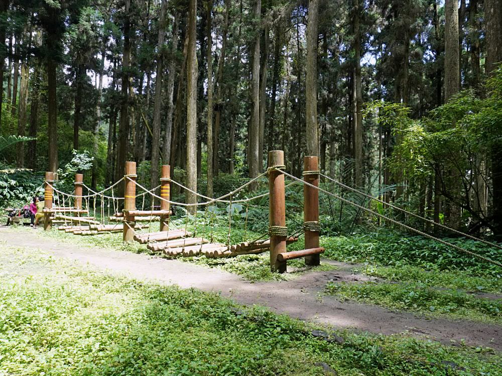 南投鹿谷|溪頭自然教育園區|路線景點資訊.必訪空中走廊及大學池.夏日健行避暑好選擇 - 第36張圖