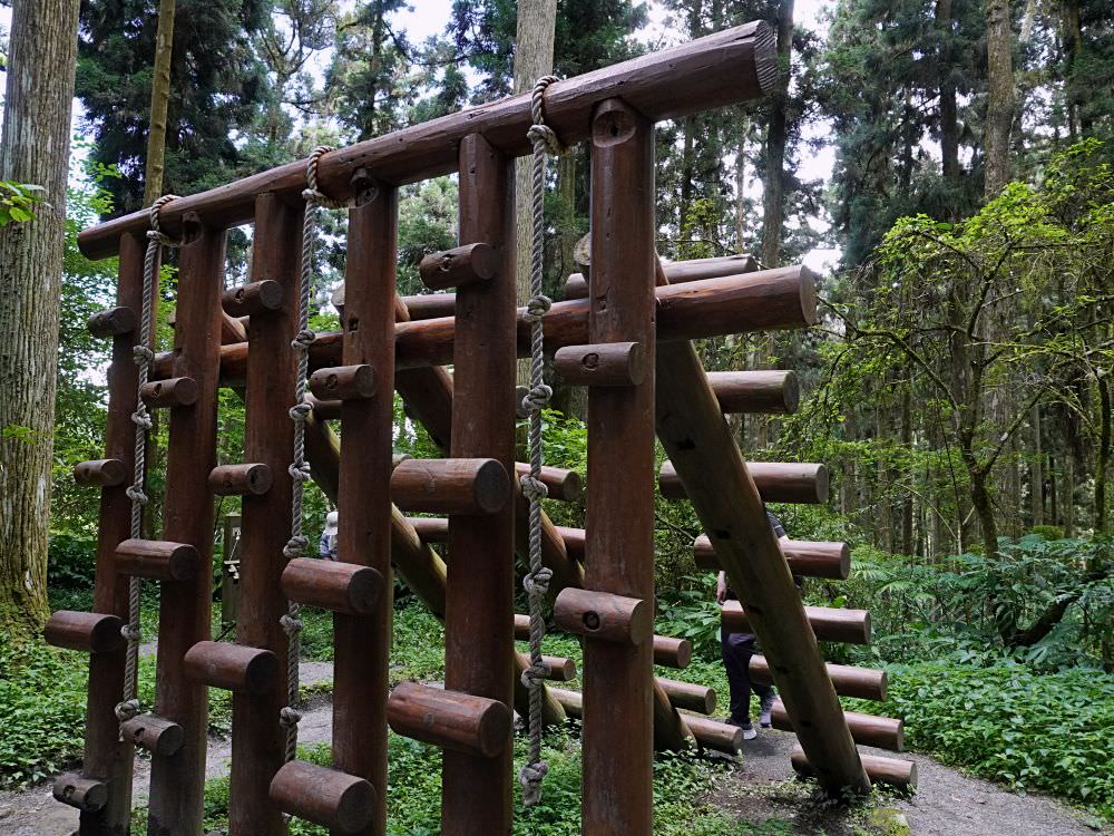 南投鹿谷|溪頭自然教育園區|路線景點資訊.必訪空中走廊及大學池.夏日健行避暑好選擇 - 第37張圖