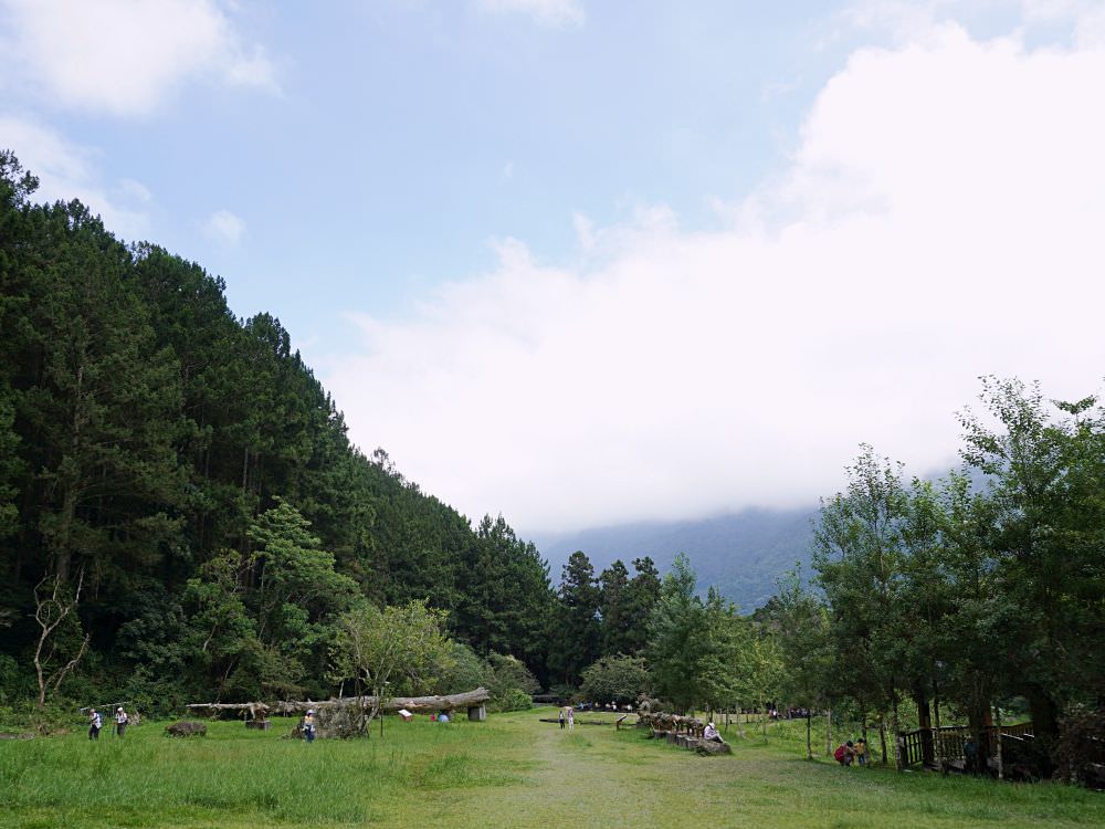 南投鹿谷|溪頭自然教育園區|路線景點資訊.必訪空中走廊及大學池.夏日健行避暑好選擇 - 第42張圖