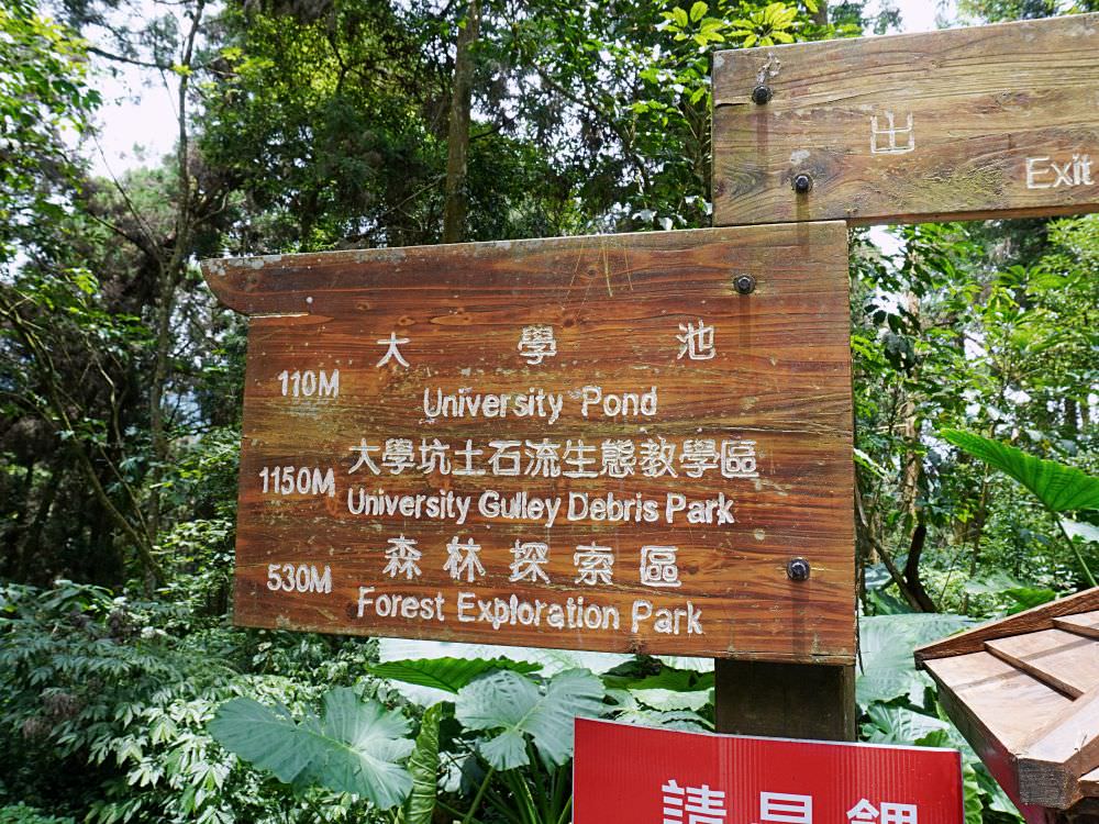 南投鹿谷|溪頭自然教育園區|路線景點資訊.必訪空中走廊及大學池.夏日健行避暑好選擇 - 第46張圖
