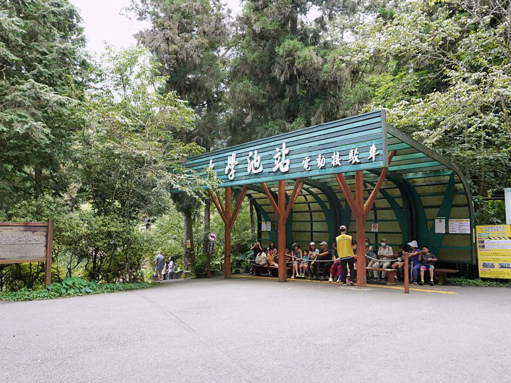 南投鹿谷|溪頭自然教育園區|路線景點資訊.必訪空中走廊及大學池.夏日健行避暑好選擇 - 第48張圖