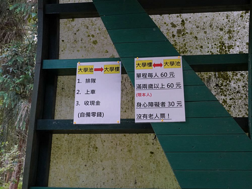南投鹿谷|溪頭自然教育園區|路線景點資訊.必訪空中走廊及大學池.夏日健行避暑好選擇 - 第49張圖