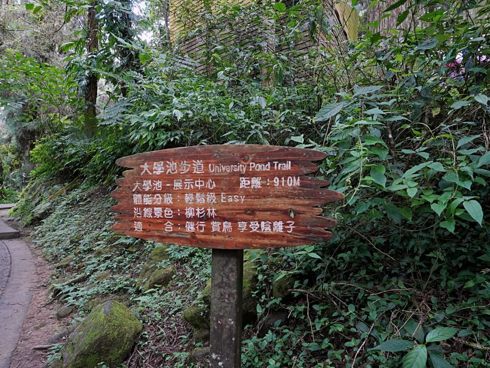 南投鹿谷|溪頭自然教育園區|路線景點資訊.必訪空中走廊及大學池.夏日健行避暑好選擇 - 第54張圖