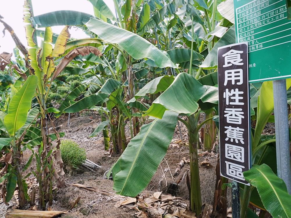 南投集集|集元果觀光工廠|免門票景點.以香蕉主題可愛的觀光工廠.有沙坑及球池 - 第35張圖