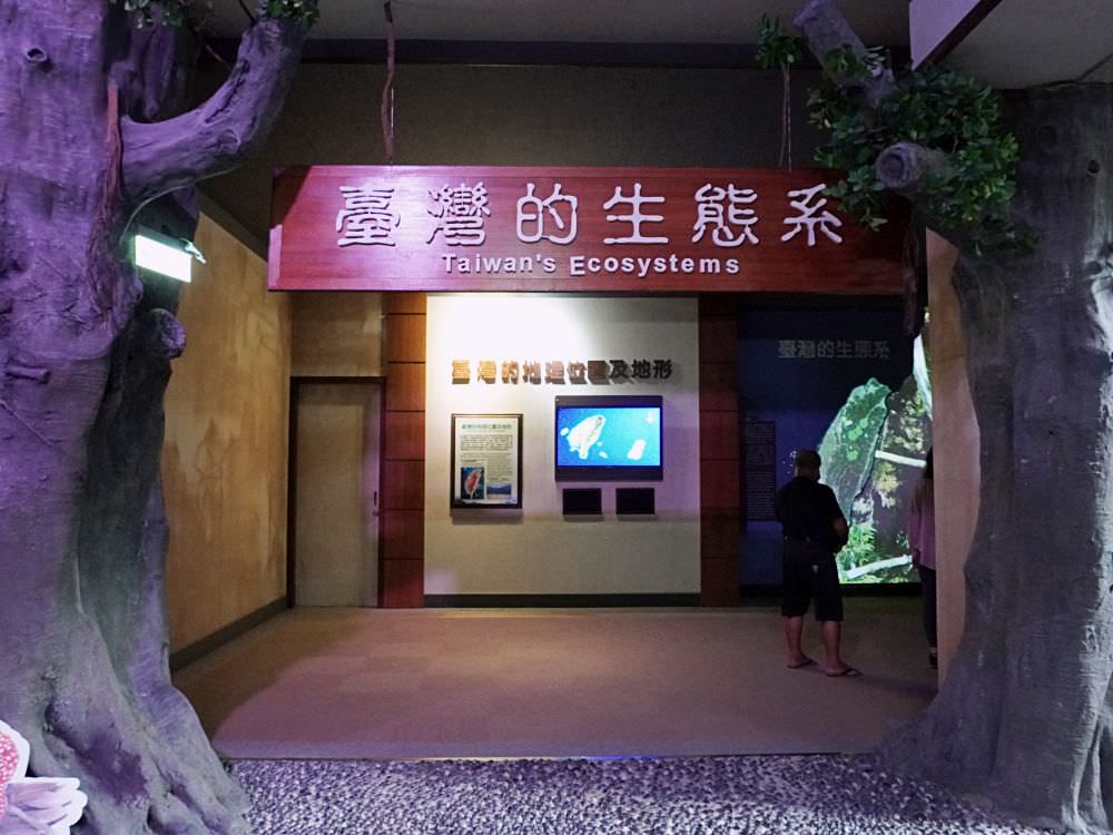 南投集集|生物多樣性研究所保育教育館|室內靜態展示台灣生態系集動植物.戶外生態園區散步環湖一圈 - 第7張圖