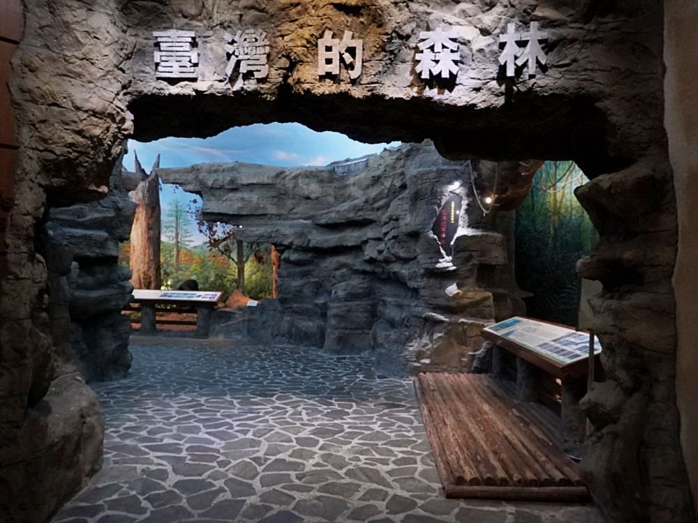 南投集集|生物多樣性研究所保育教育館|室內靜態展示台灣生態系集動植物.戶外生態園區散步環湖一圈 - 第8張圖