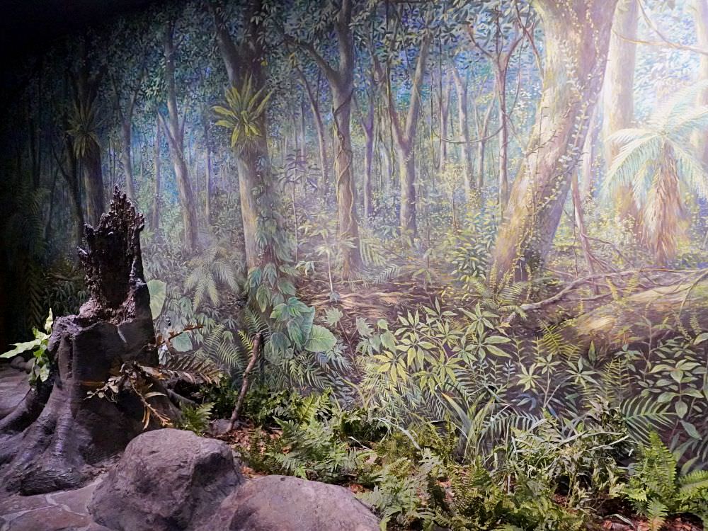 南投集集|生物多樣性研究所保育教育館|室內靜態展示台灣生態系集動植物.戶外生態園區散步環湖一圈 - 第28張圖