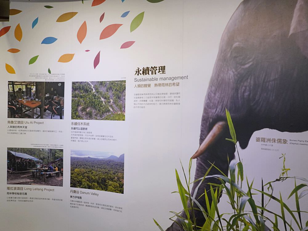 南投集集|生物多樣性研究所保育教育館|室內靜態展示台灣生態系集動植物.戶外生態園區散步環湖一圈 - 第32張圖