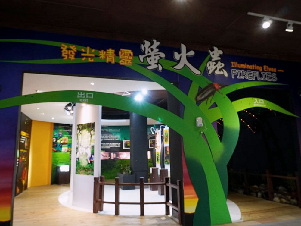南投集集|生物多樣性研究所保育教育館|室內靜態展示台灣生態系集動植物.戶外生態園區散步環湖一圈 - 第35張圖