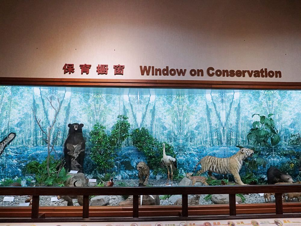 南投集集|生物多樣性研究所保育教育館|室內靜態展示台灣生態系集動植物.戶外生態園區散步環湖一圈 - 第37張圖