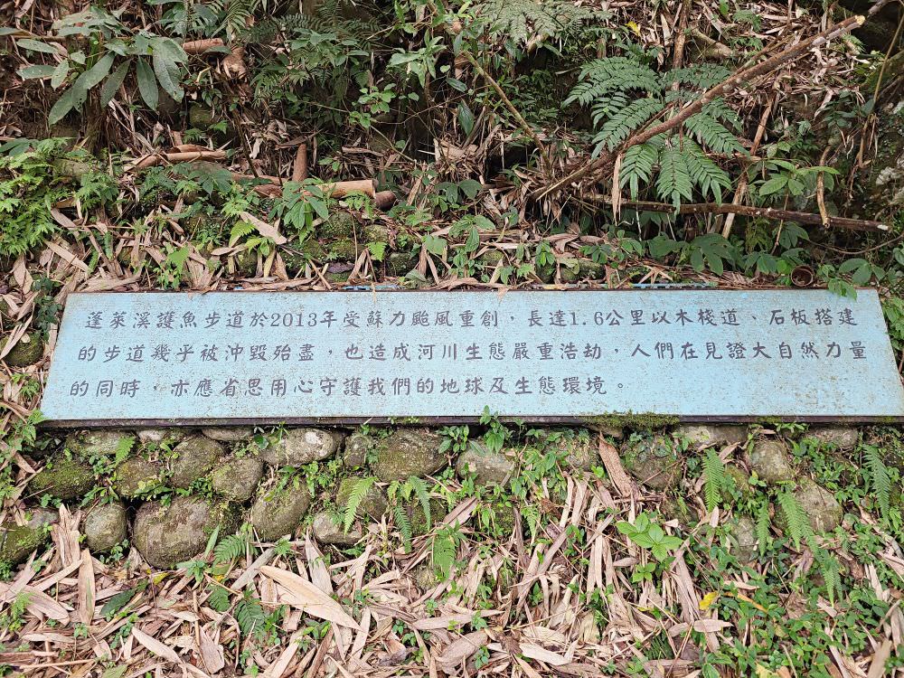 苗栗南庄|蓬萊溪護魚步道|全程平坦輕鬆好走的休閒步道.適合全家一起來運動.來回花費約1.5小時.沿途有林蔭不熱 - 第15張圖