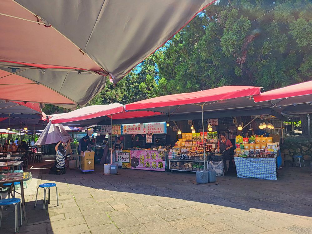 清境農場青青草原|近距離餵食羊咩咩.與羊群們一起漫步在草皮上.超厲害必看馬術表演秀.全家都適合來玩的景點 - 第18張圖