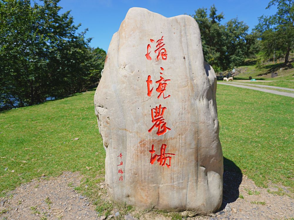 清境農場青青草原|近距離餵食羊咩咩.與羊群們一起漫步在草皮上.超厲害必看馬術表演秀.全家都適合來玩的景點 - 第1張圖
