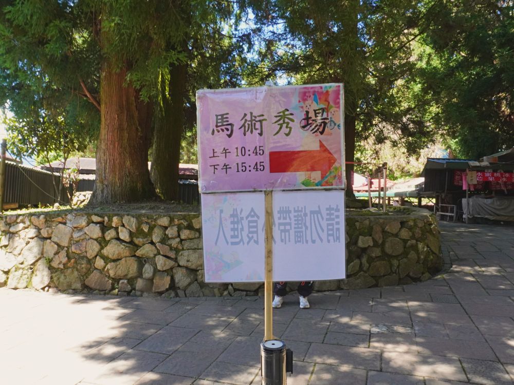 清境農場青青草原|近距離餵食羊咩咩.與羊群們一起漫步在草皮上.超厲害必看馬術表演秀.全家都適合來玩的景點 - 第21張圖