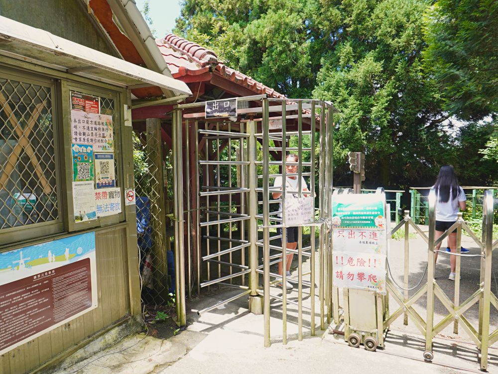 清境農場青青草原|近距離餵食羊咩咩.與羊群們一起漫步在草皮上.超厲害必看馬術表演秀.全家都適合來玩的景點 - 第42張圖