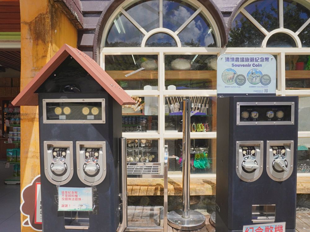清境農場青青草原|近距離餵食羊咩咩.與羊群們一起漫步在草皮上.超厲害必看馬術表演秀.全家都適合來玩的景點 - 第15張圖