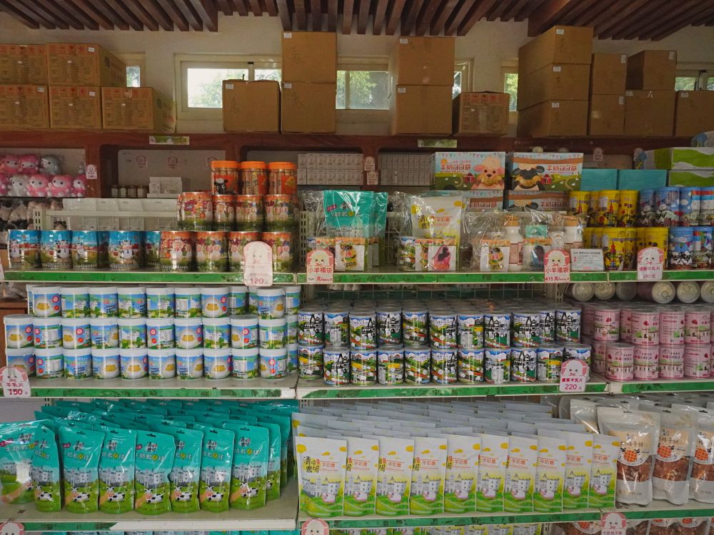 清境農場青青草原|近距離餵食羊咩咩.與羊群們一起漫步在草皮上.超厲害必看馬術表演秀.全家都適合來玩的景點 - 第16張圖