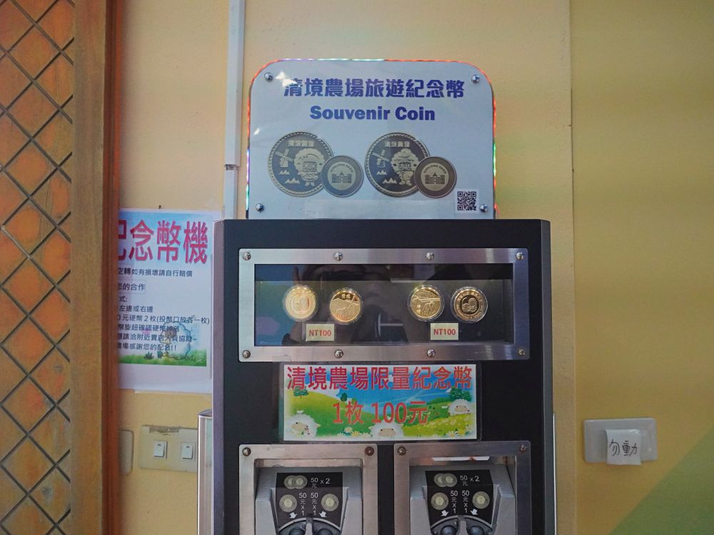 清境農場青青草原|近距離餵食羊咩咩.與羊群們一起漫步在草皮上.超厲害必看馬術表演秀.全家都適合來玩的景點 - 第49張圖